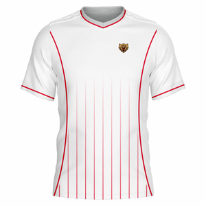 New Style Soccer Jersey Custom Logo Soccer Uniform Made Best Quality
