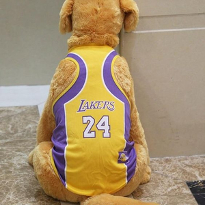 Basketball Fans Can Customize Dog Vests For Dogs