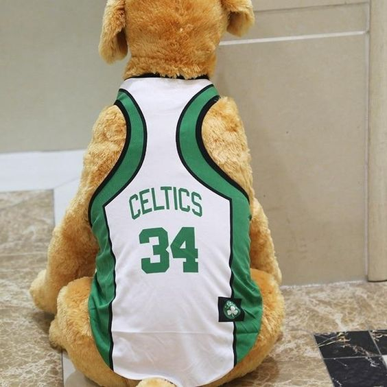 Basketball Fans Can Customize Dog Vests For Dogs