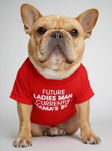 Quickly Dry Four-legged Dog Shirts Customization