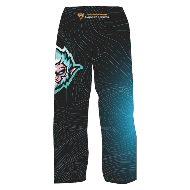 Hot Sublimated Ice Hockey Pants with Fashionable Design