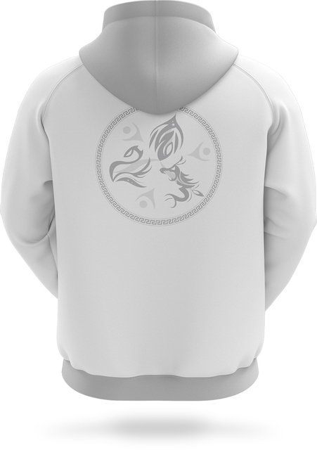 Design New Fashion Esports Team Sublimated Wholesale Price Hoodies